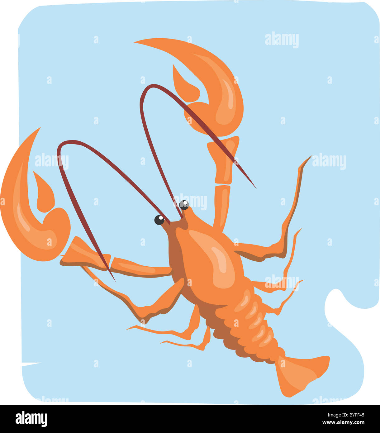Cartoon shrimp hi-res stock photography and images - Alamy