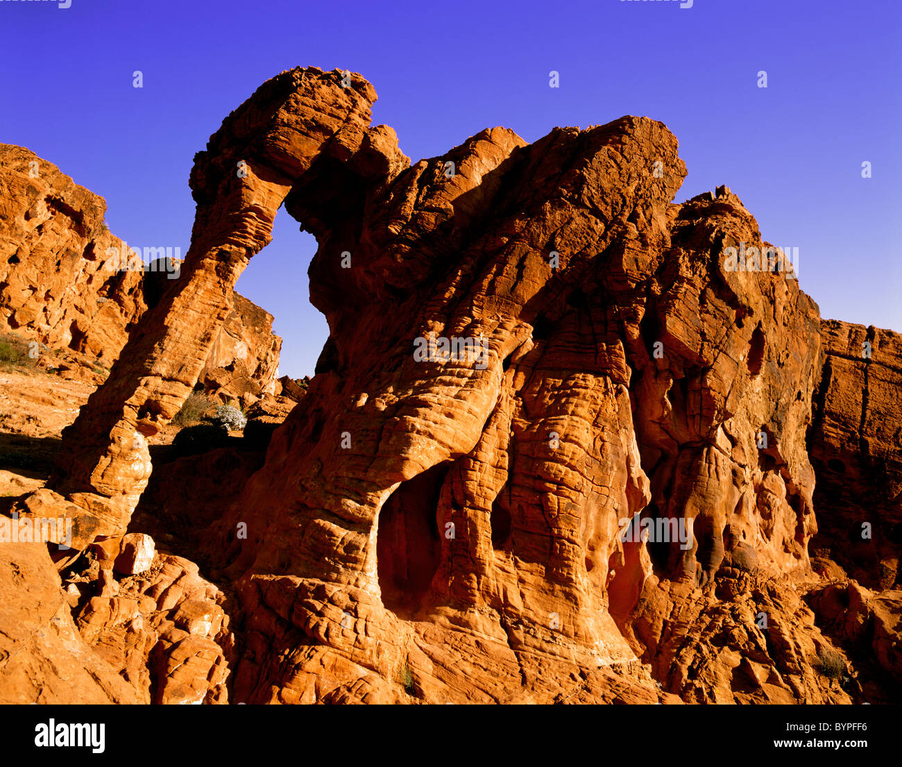 Fall Elephant Rocks Monolith elephant rock hi-res stock photography and images - Alamy