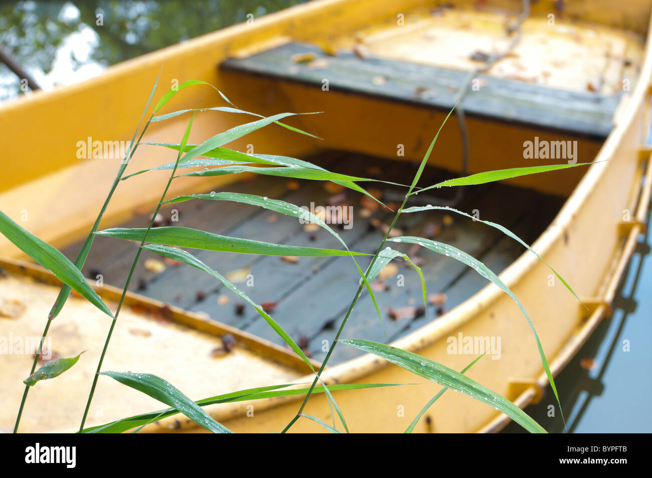 Rowing canal hires stock photography and images Alamy
