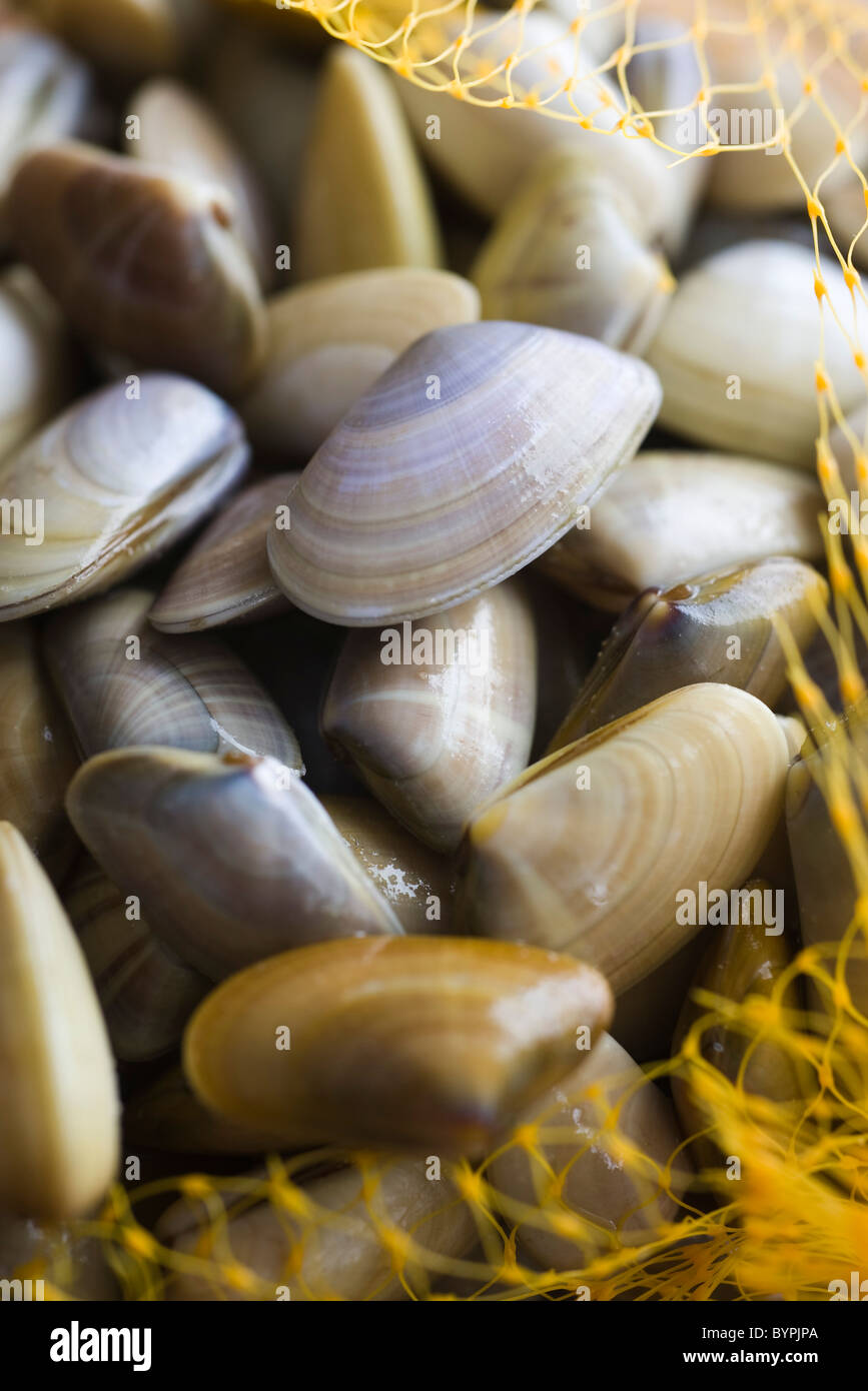 Sack of fresh clams Stock Photo Alamy