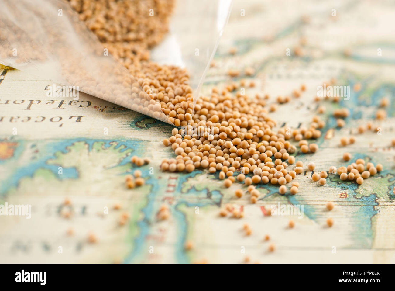 Peppercorns spilling from plastic bag Stock Photo
