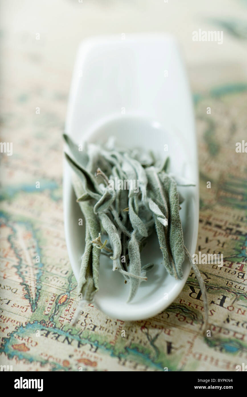 Dried sage leaves Stock Photo Alamy