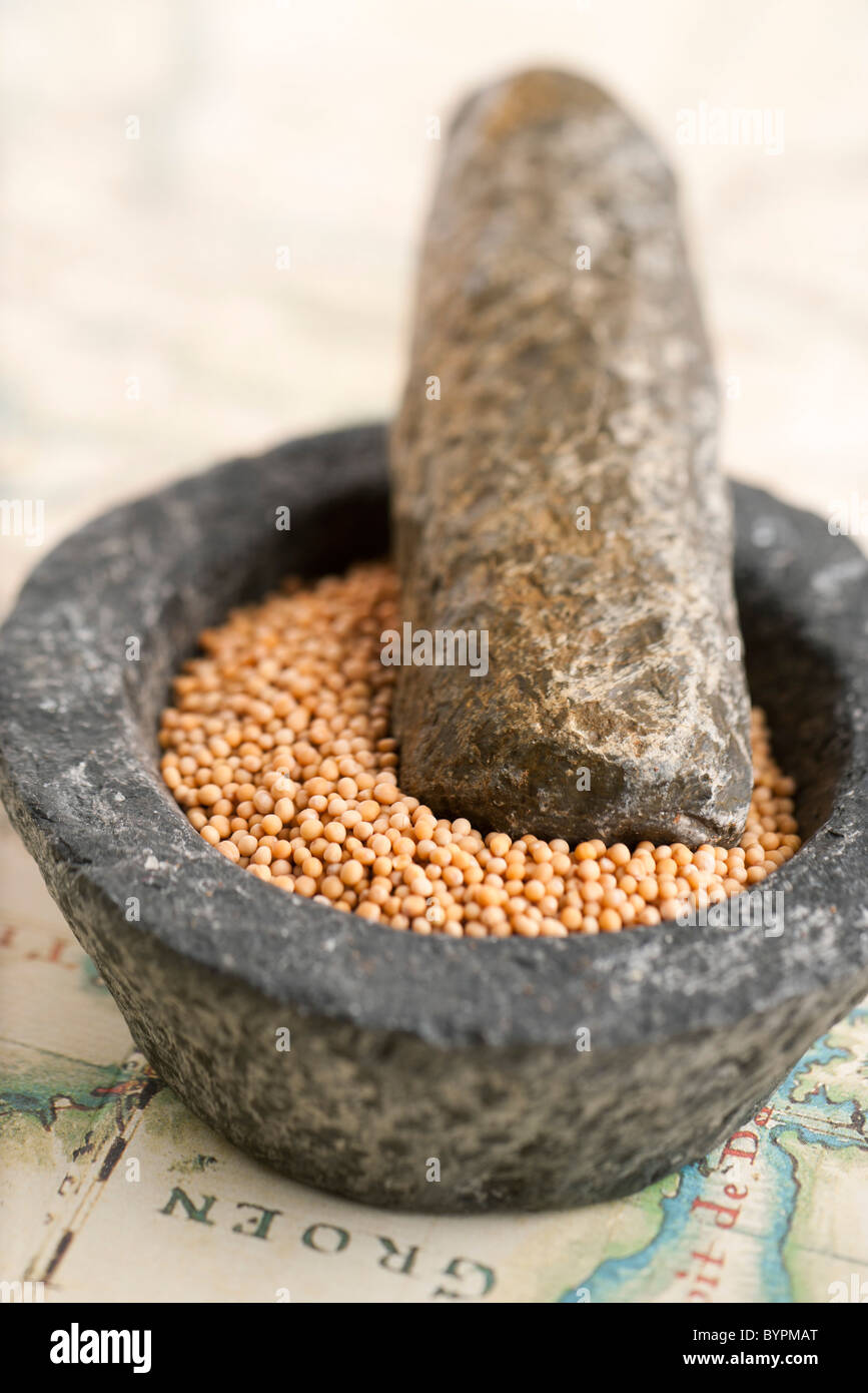 Peppercorns in mortar with pestle Stock Photo