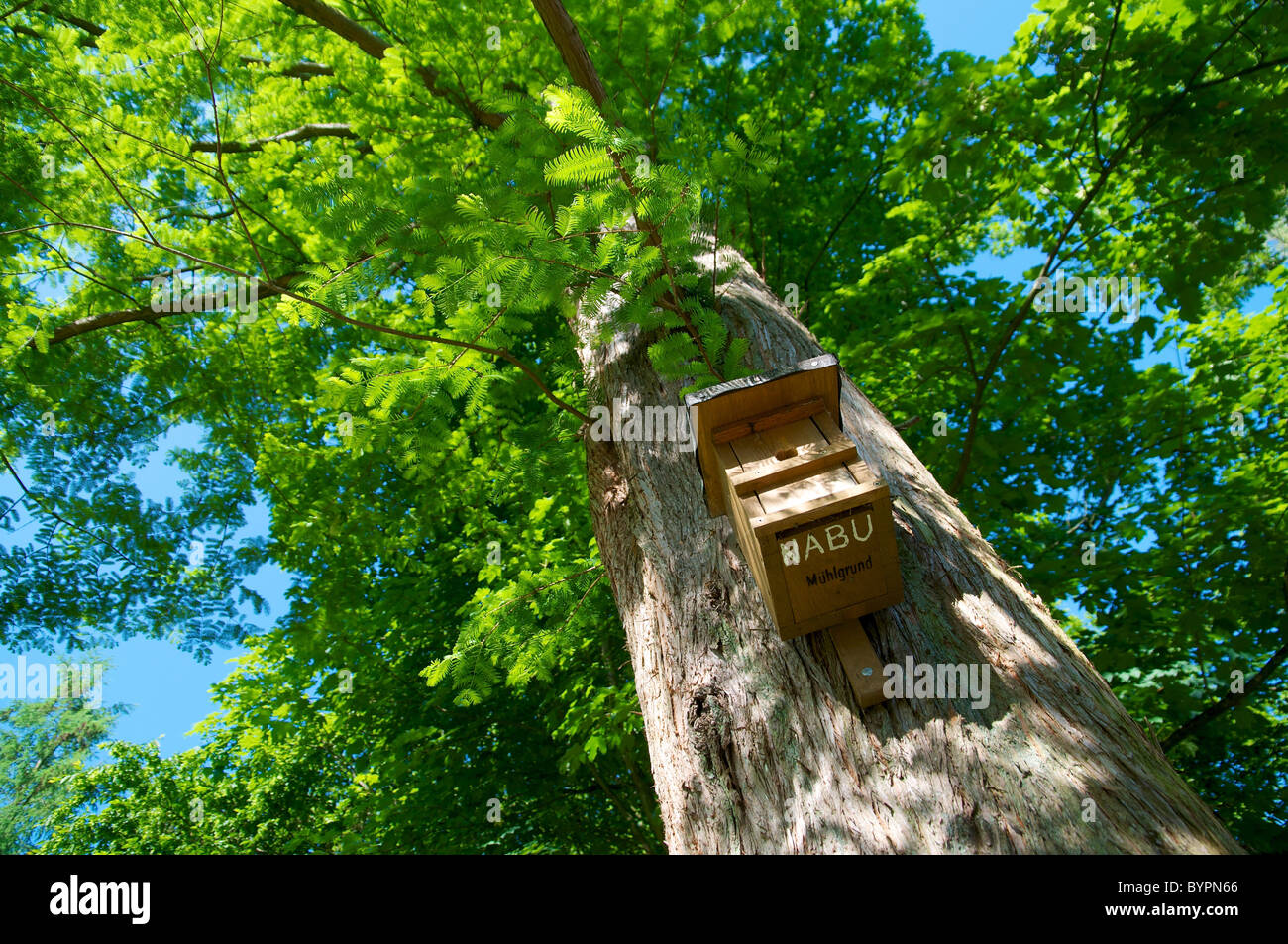 Birdhouse of the Naturschutzbund Lemgo in the park of the Brake castle. Stock Photo