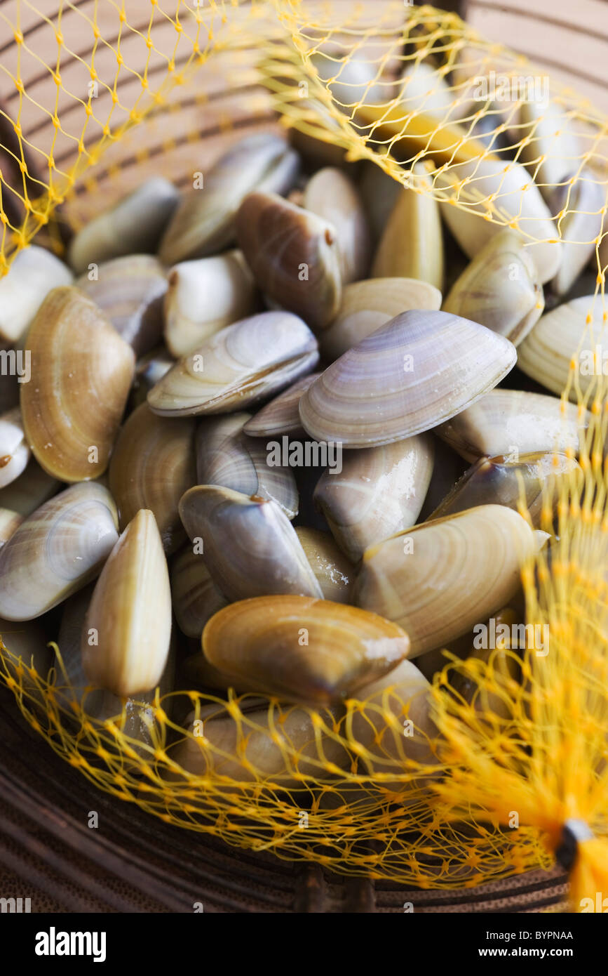Sack of fresh clams Stock Photo Alamy