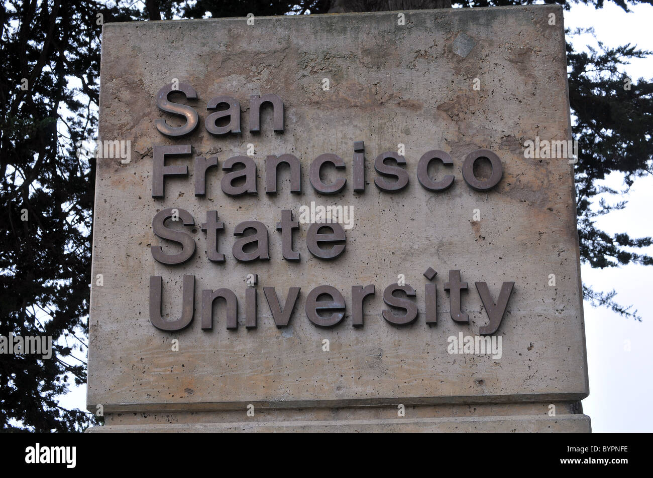 Sfsu Student Id Card