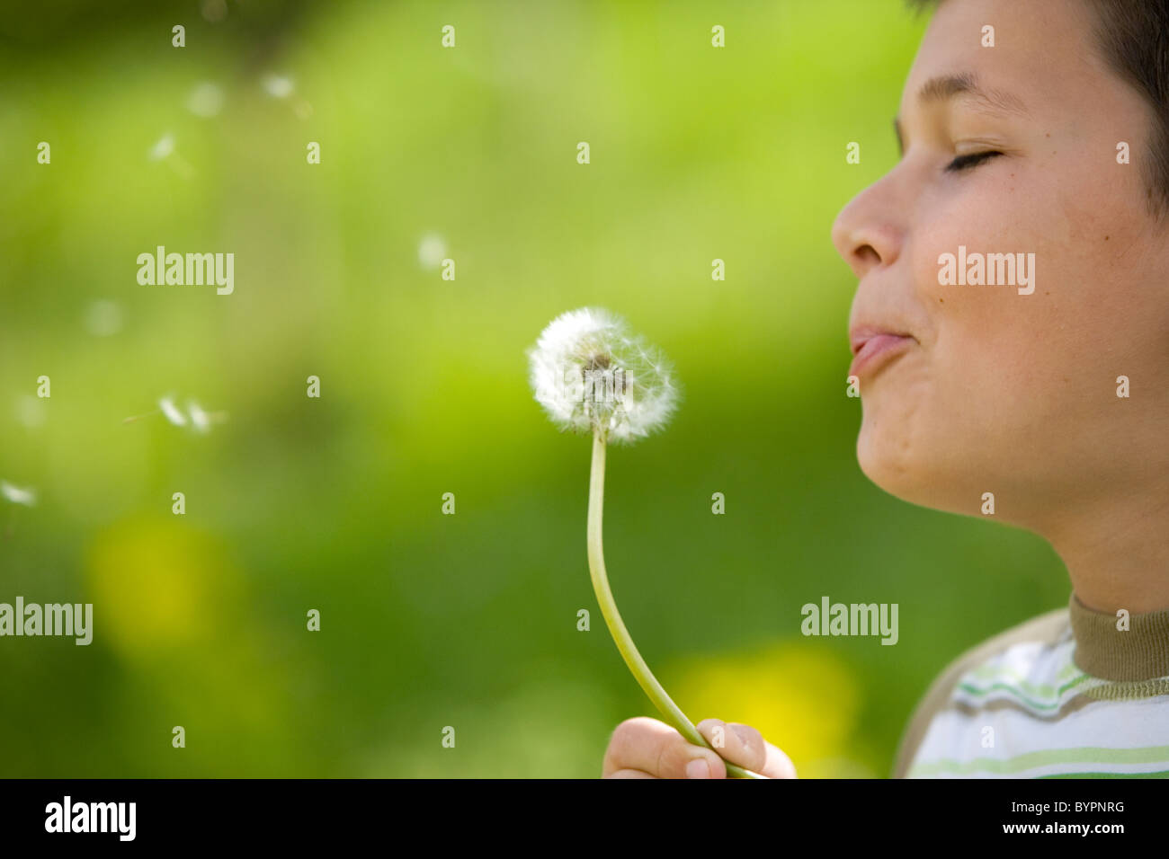 Boy blowing a dandelion Stock Photo - Alamy