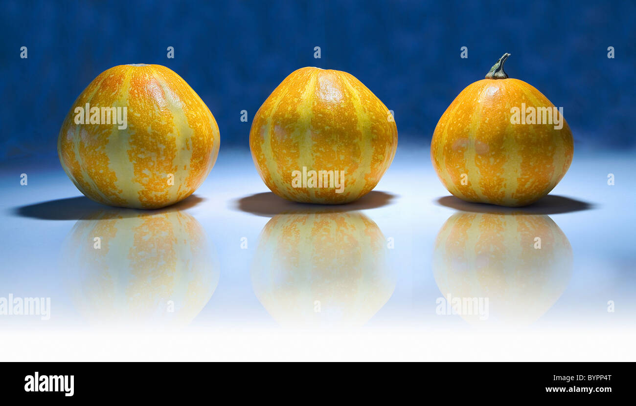 Three yellow pumpkins isolated on white and blue background Stock Photo ...