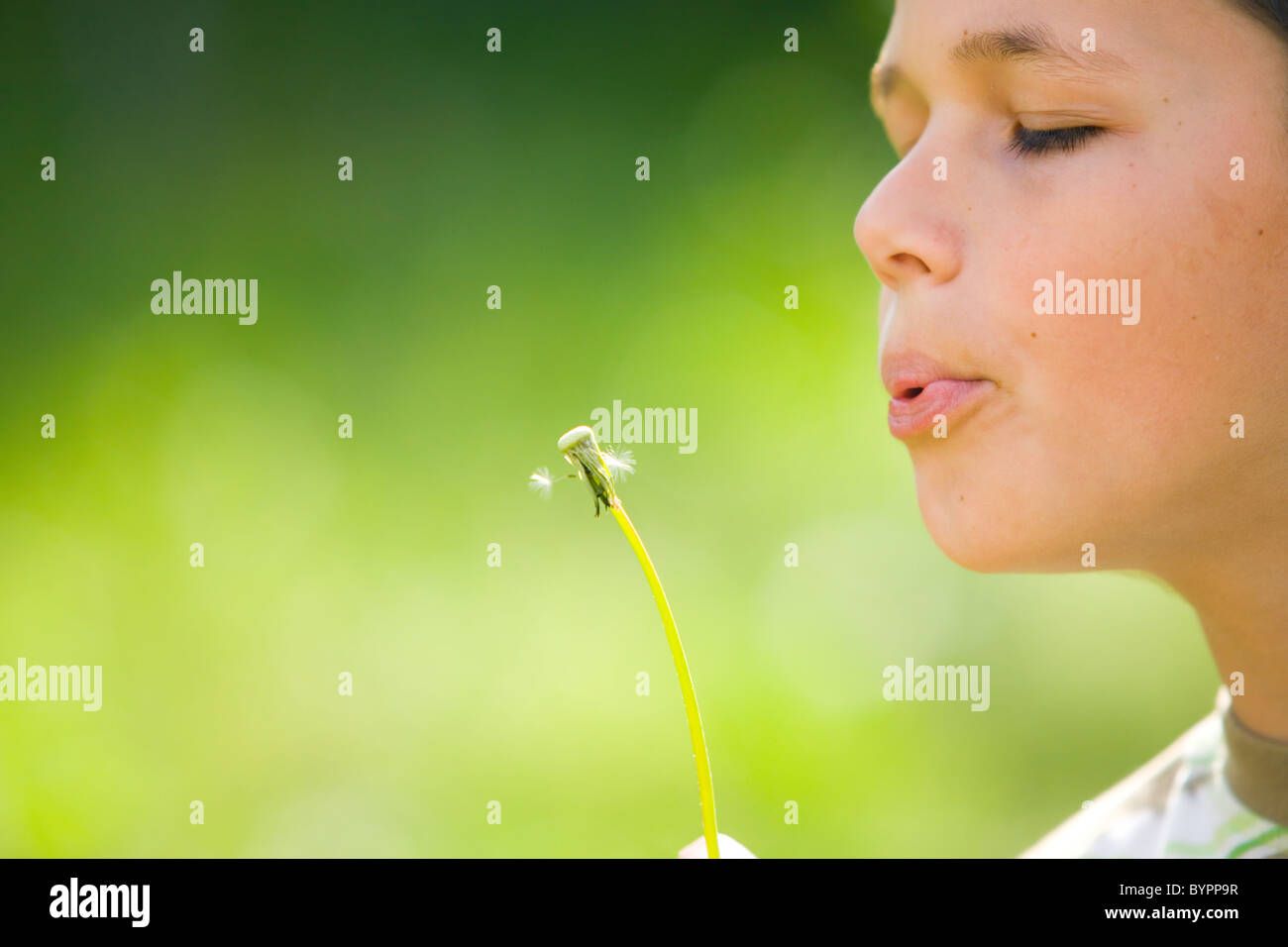 Kid Blowing A Dandelion Stock Photo - Alamy