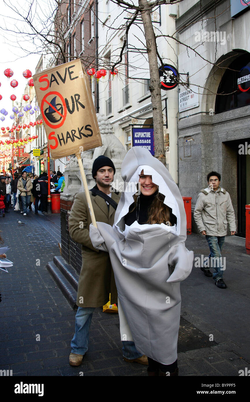 Anti Shark trade protesters in Chinatown Stock Photo