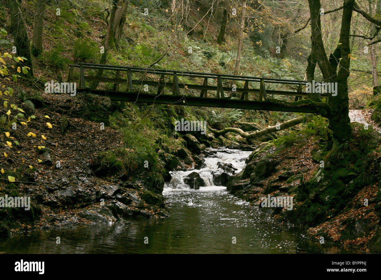 Footbridge at Glen Helen, Isle of Man Stock Photo Alamy