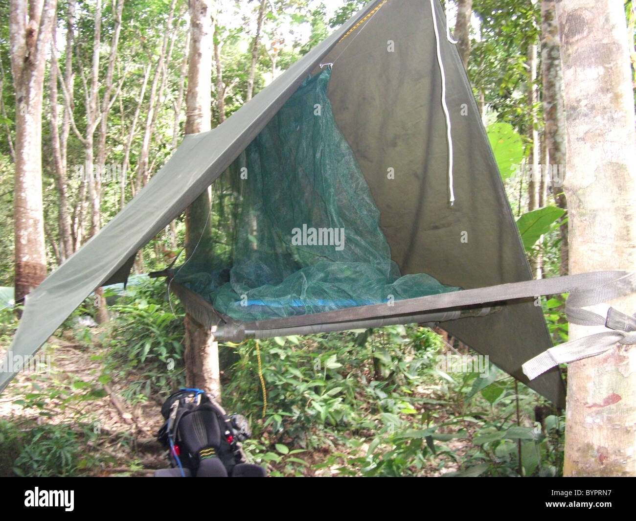 Hammock mosquito net Jungle camp Borneo Stock Photo