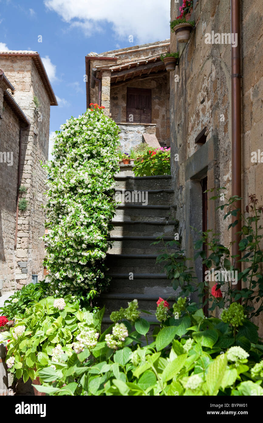 Civita di Bagnoregio, Etruscan town. Detail of a house staircase decorated with flowers. Lazio, Italy Stock Photo