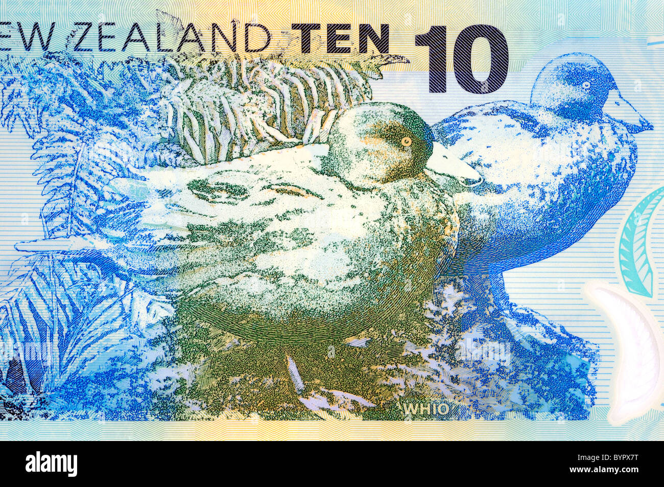 New Zealand Ten 10 Dollar Note. Stock Photo