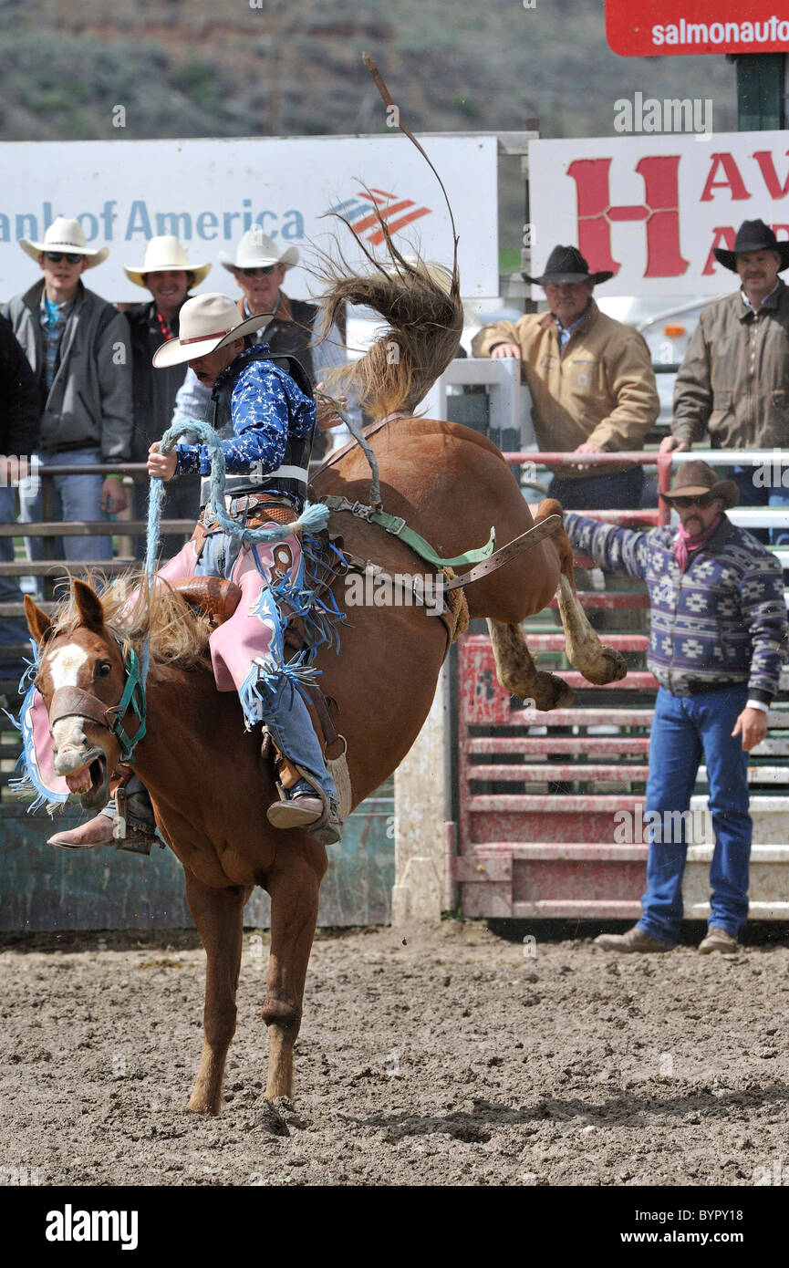 Bronc Riding, Rodeo, Salmon, Idaho Stock Photo - Alamy