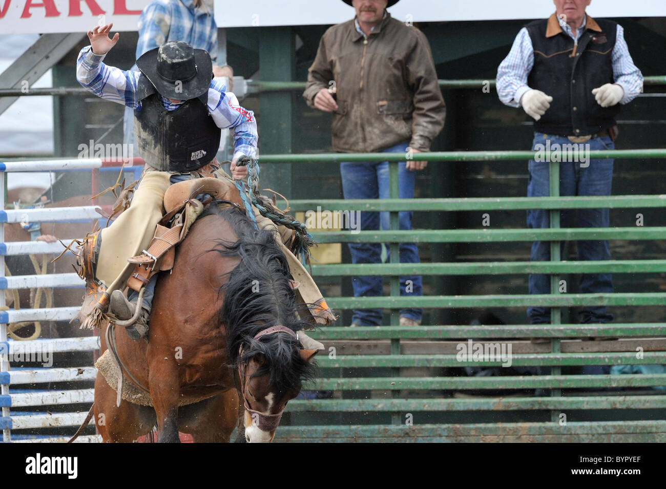 Bronc Riding, Rodeo, Salmon, Idaho Stock Photo Alamy