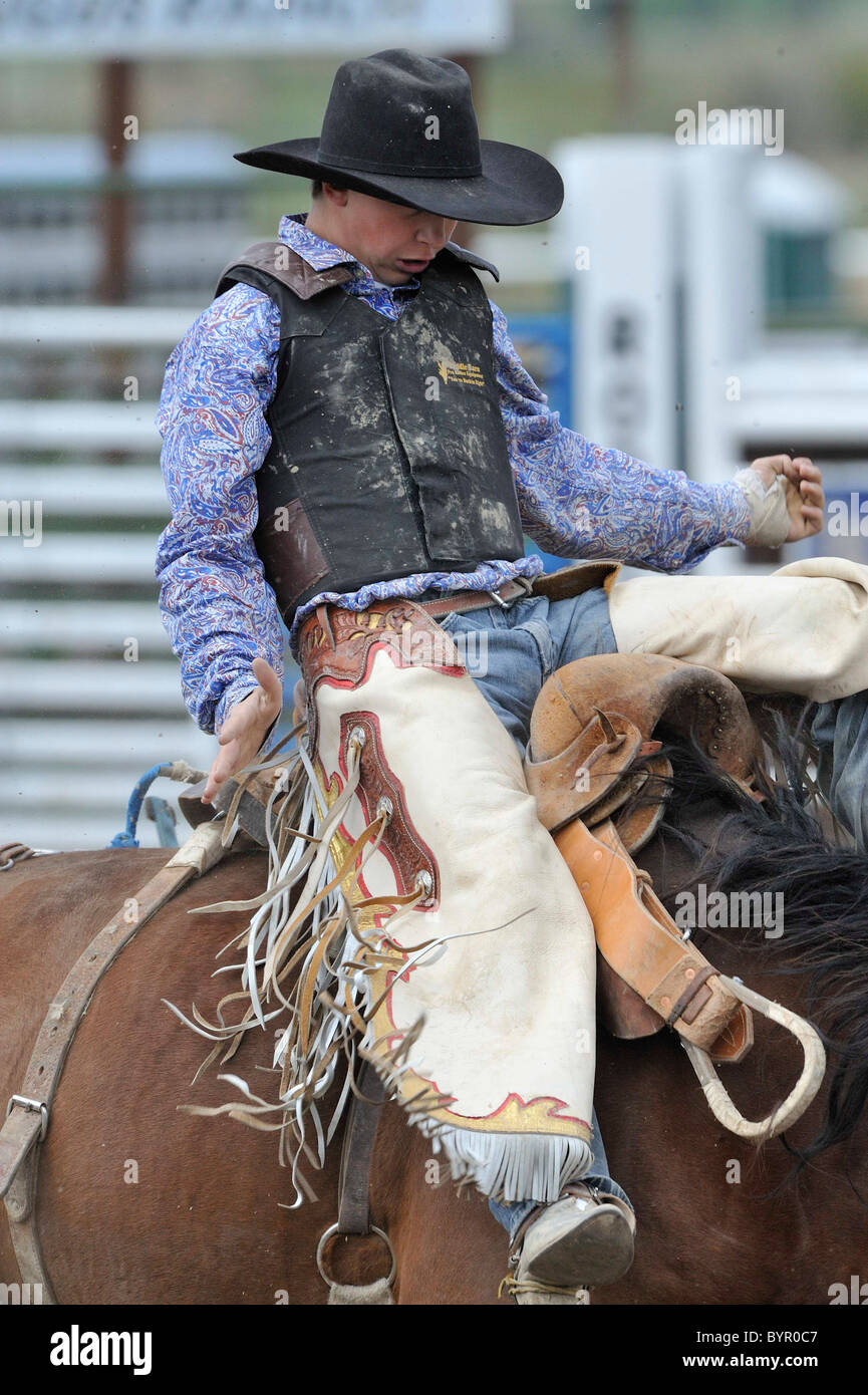 Bronc Riding, Rodeo, Salmon, Idaho Stock Photo Alamy