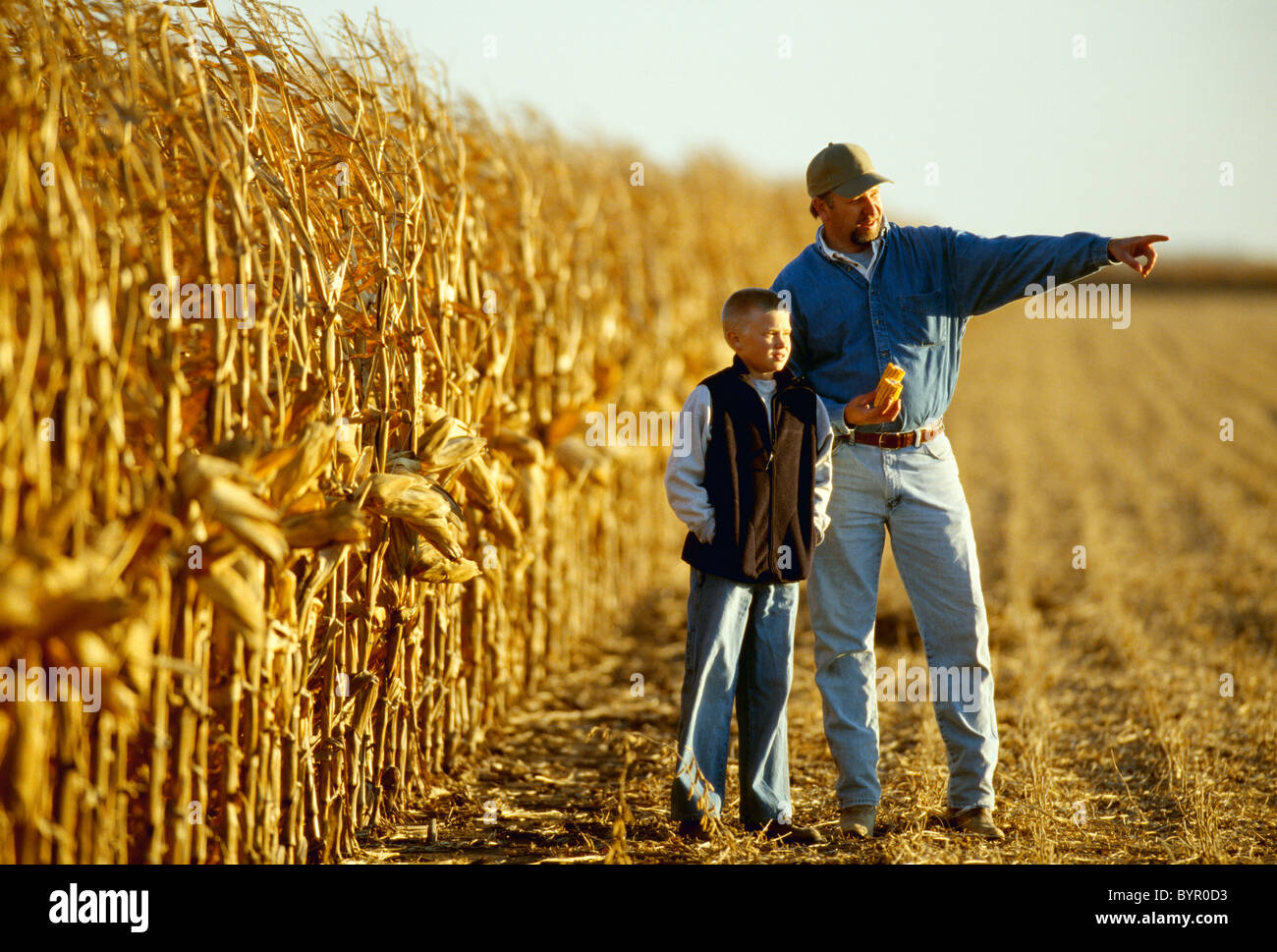 Agriculture - A farmer in his grain corn field with his son while Stock