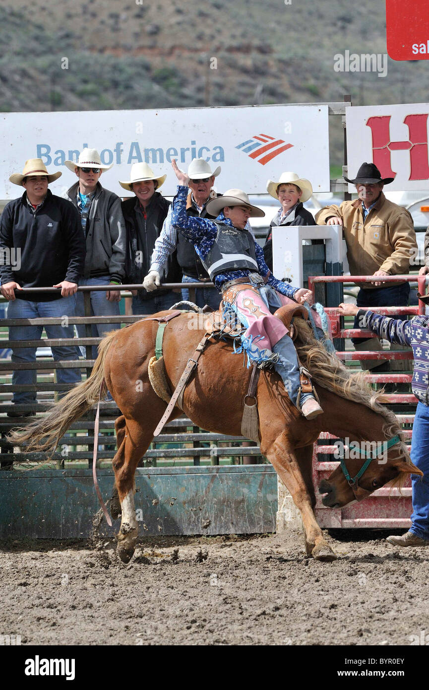 Bronc Riding, Rodeo, Salmon, Idaho Stock Photo Alamy