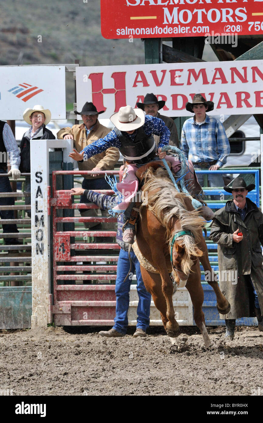 Bronc Riding, Rodeo, Salmon, Idaho Stock Photo - Alamy