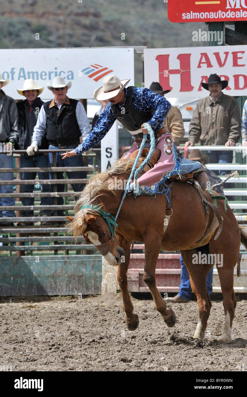 Bronc Riding, Rodeo, Salmon, Idaho Stock Photo Alamy