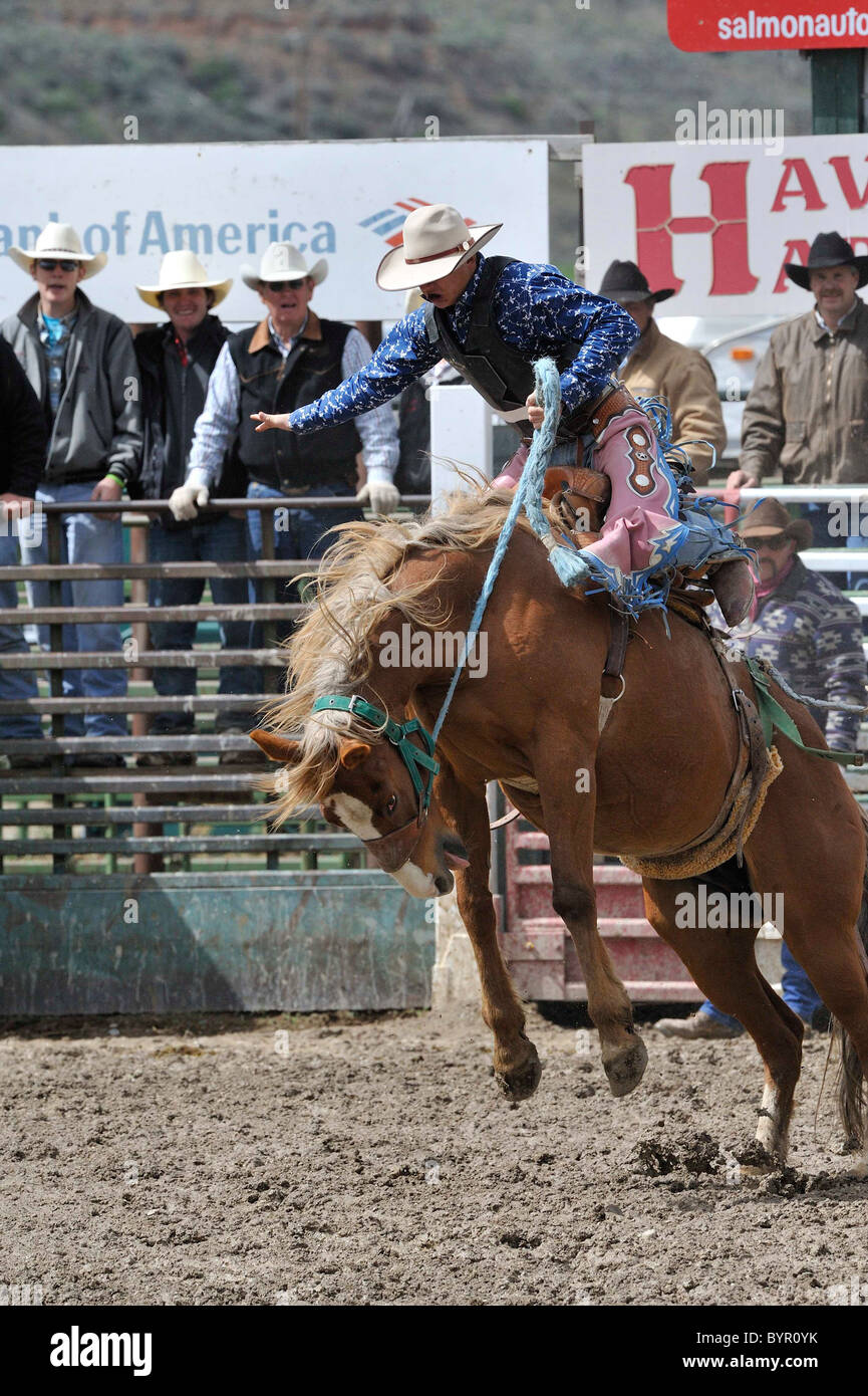 Bronc Riding, Rodeo, Salmon, Idaho Stock Photo Alamy