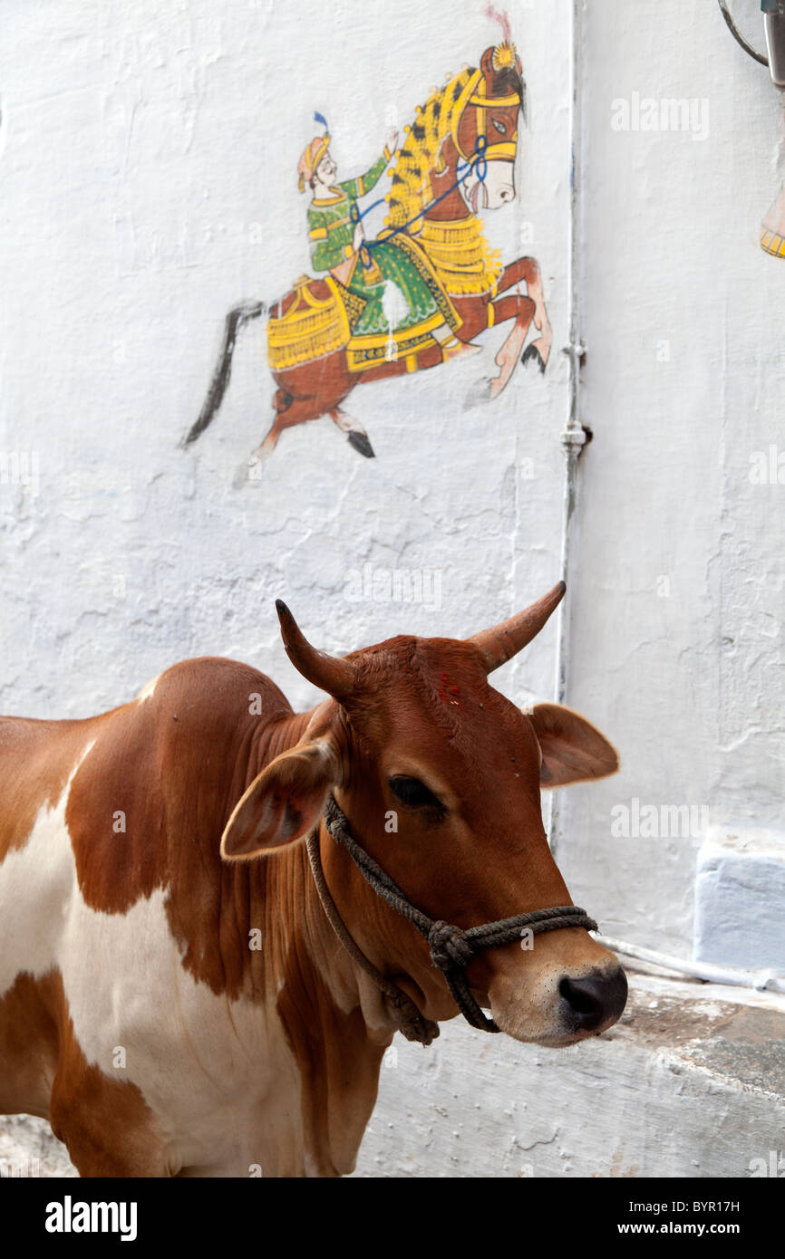 India, Rajasthan, Udaipur, cow with wall painting behind Stock Photo