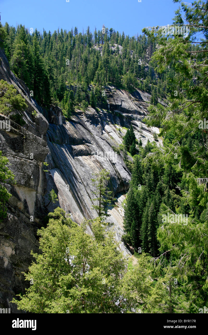 Mountainside trees hires stock photography and images Alamy