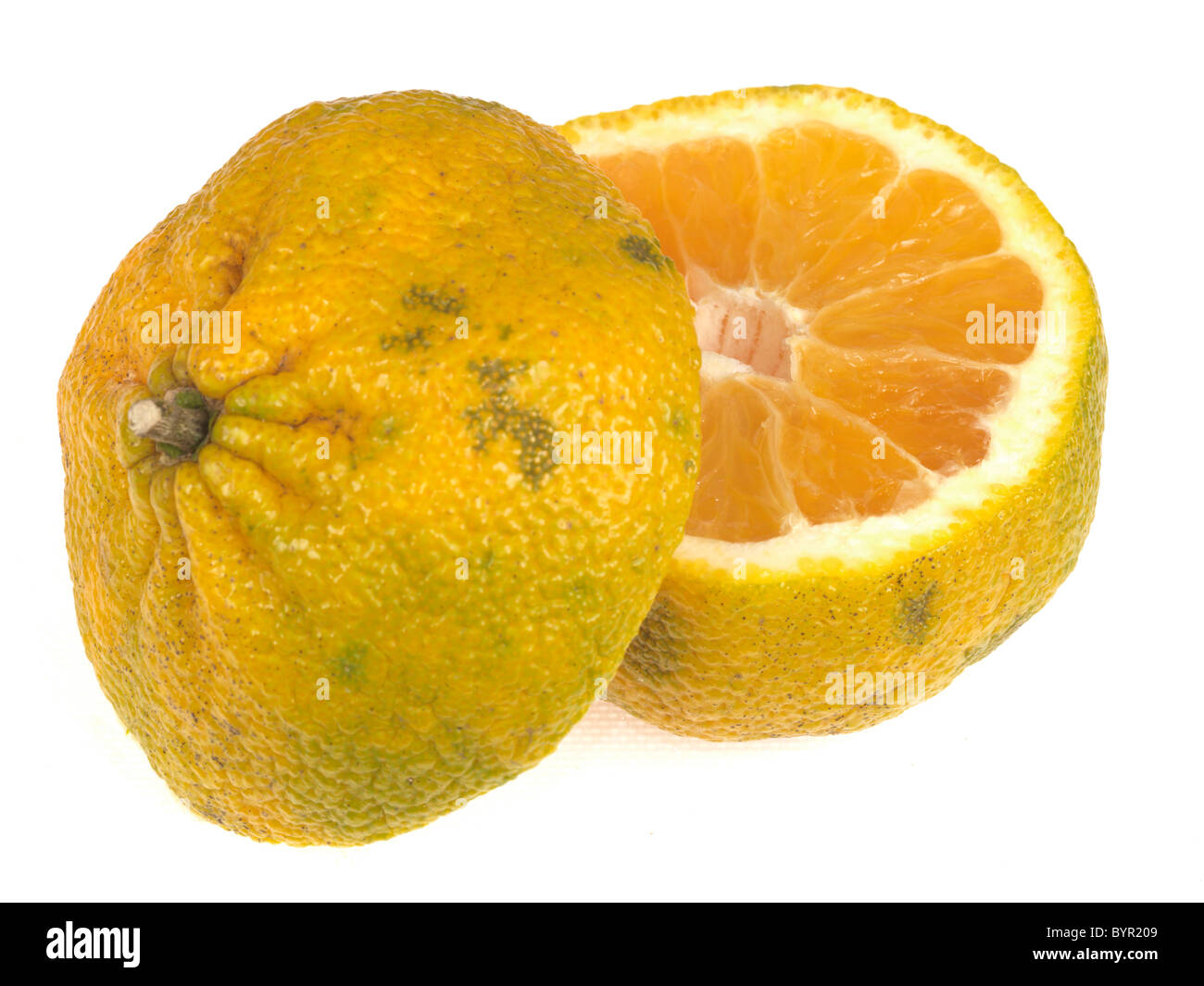 Fresh Healthy Ugli Fruit Against A White Background With A Clipping Path And No People Stock Photo