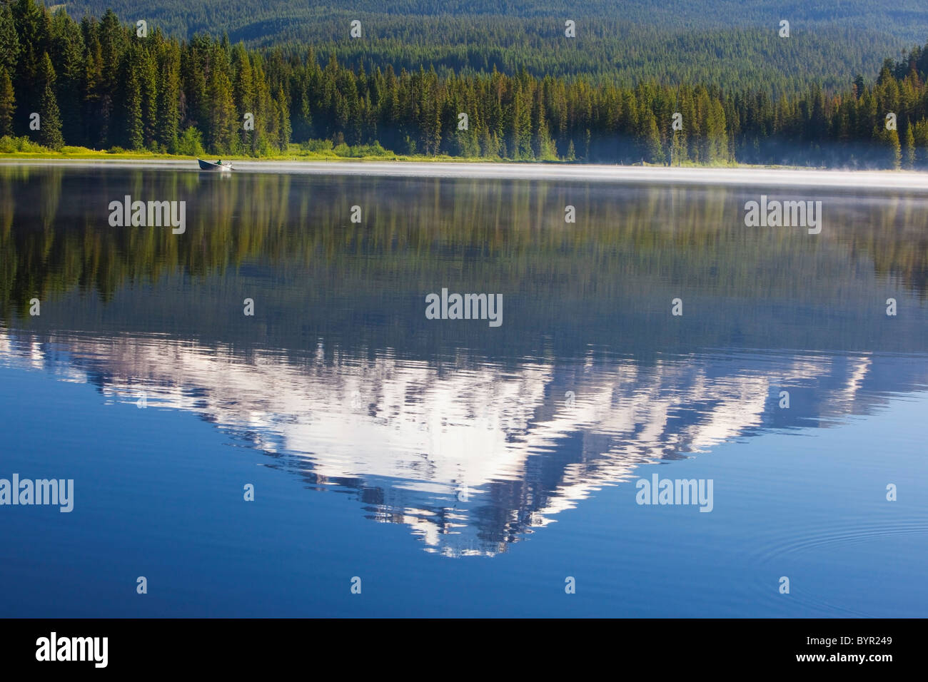 reflection of mount hood in trillium lake in the oregon cascades; oregon, united states of america Stock Photo