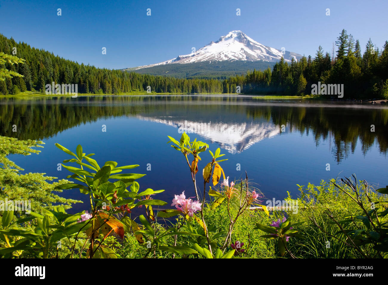 mount-hood-trillium-lake-united-of-america-blue-sky-landscape-hi-res