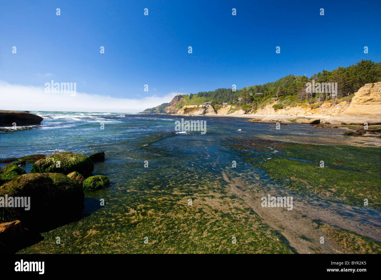 otter rock beach along the oregon coast; oregon, united states of america Stock Photo