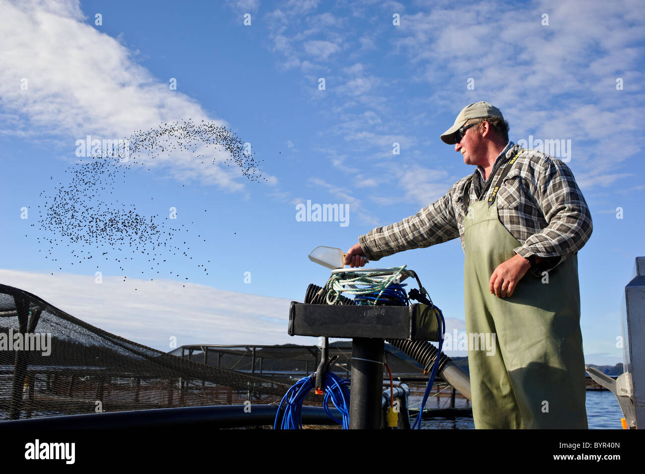 Fish feeding in aquaculture pen Stock Photo