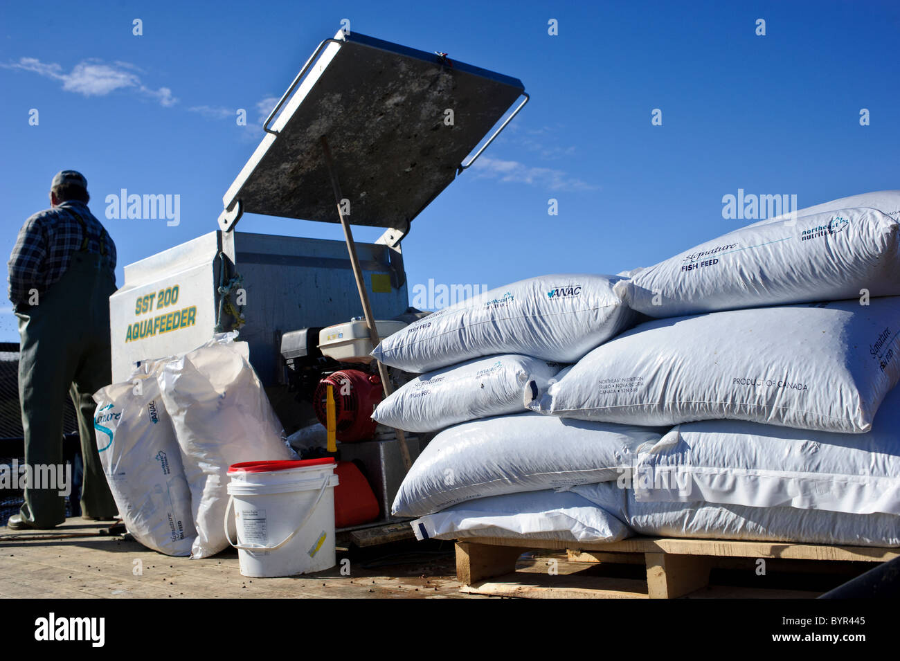 Fish feeding in aquaculture pen Stock Photo - Alamy