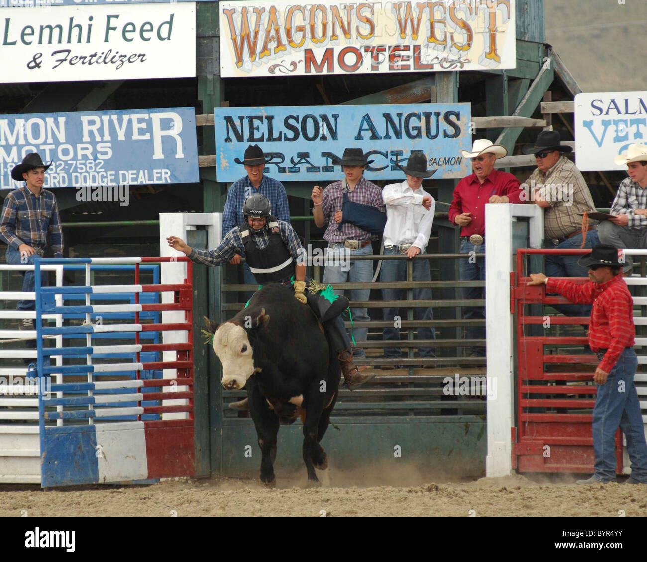Bull Riding, Rodeo, Salmon, Idaho Stock Photo Alamy