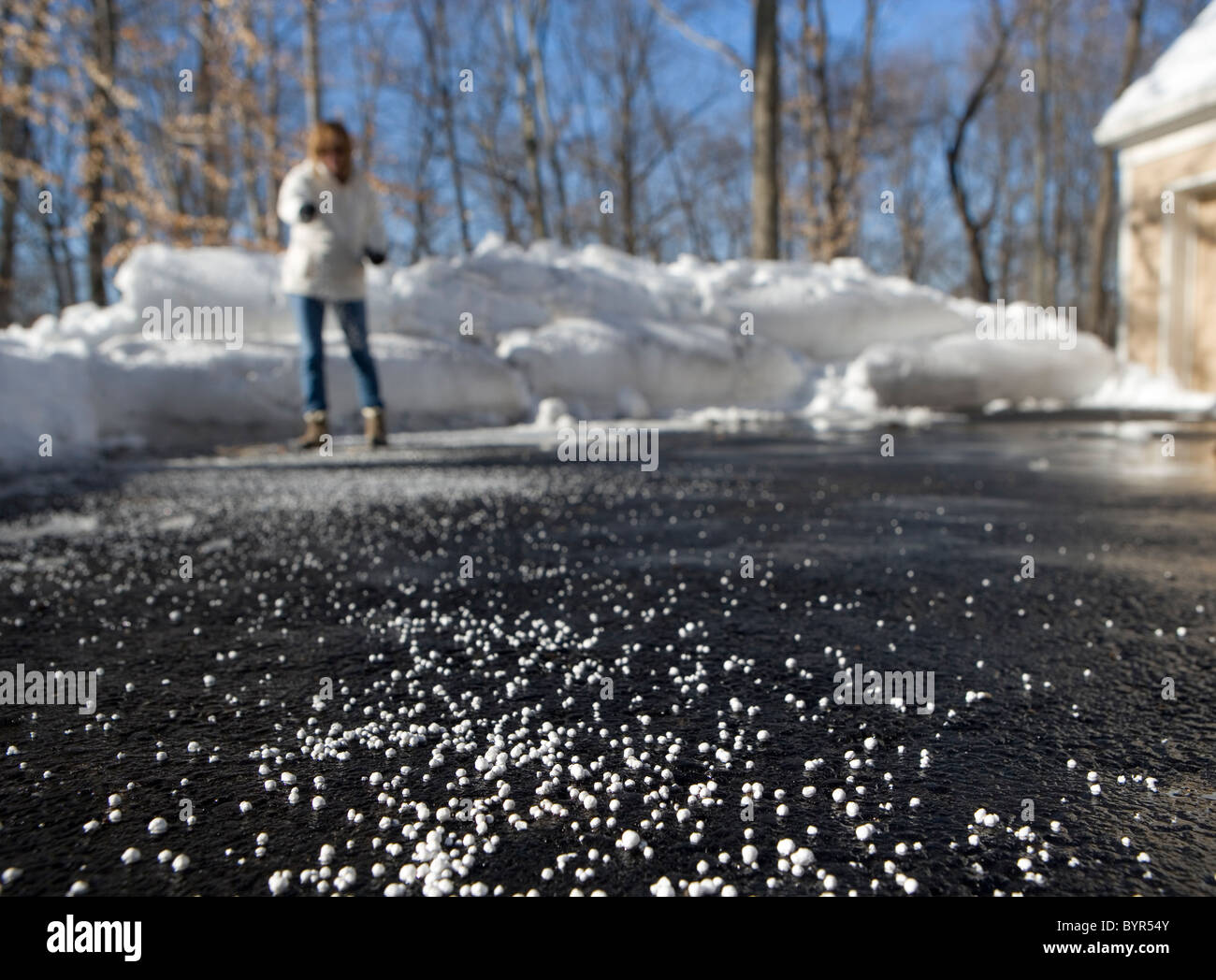 A woman throwing salt on a driveway to melt the ice and snow Stock Photo