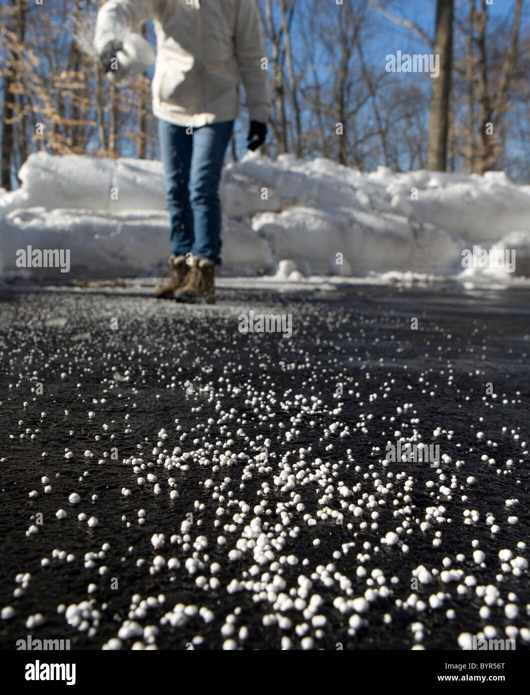 A woman throwing salt on a driveway to melt the ice and snow Stock Photo