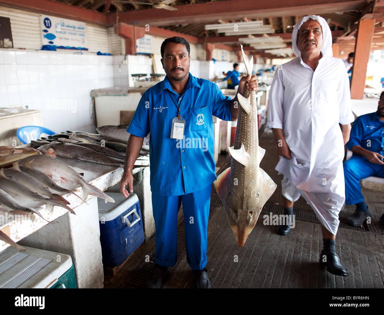 Sharjah fish market, Dubai, UAE Stock Photo Alamy