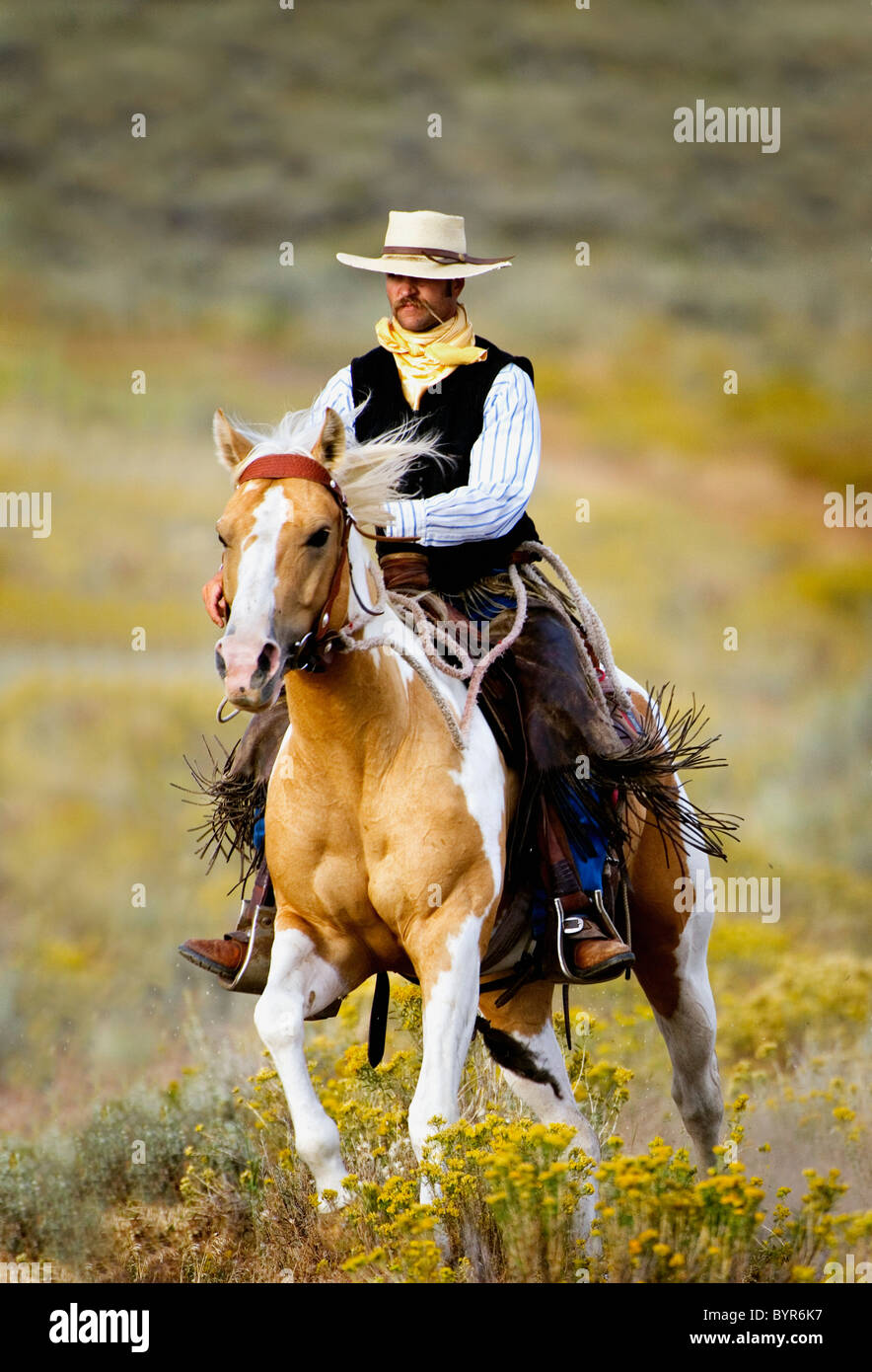 A cowboy with an old fashioned mustache rides a horse through a  field of wildflowers; seneca, oregon, united states of america Stock Photo