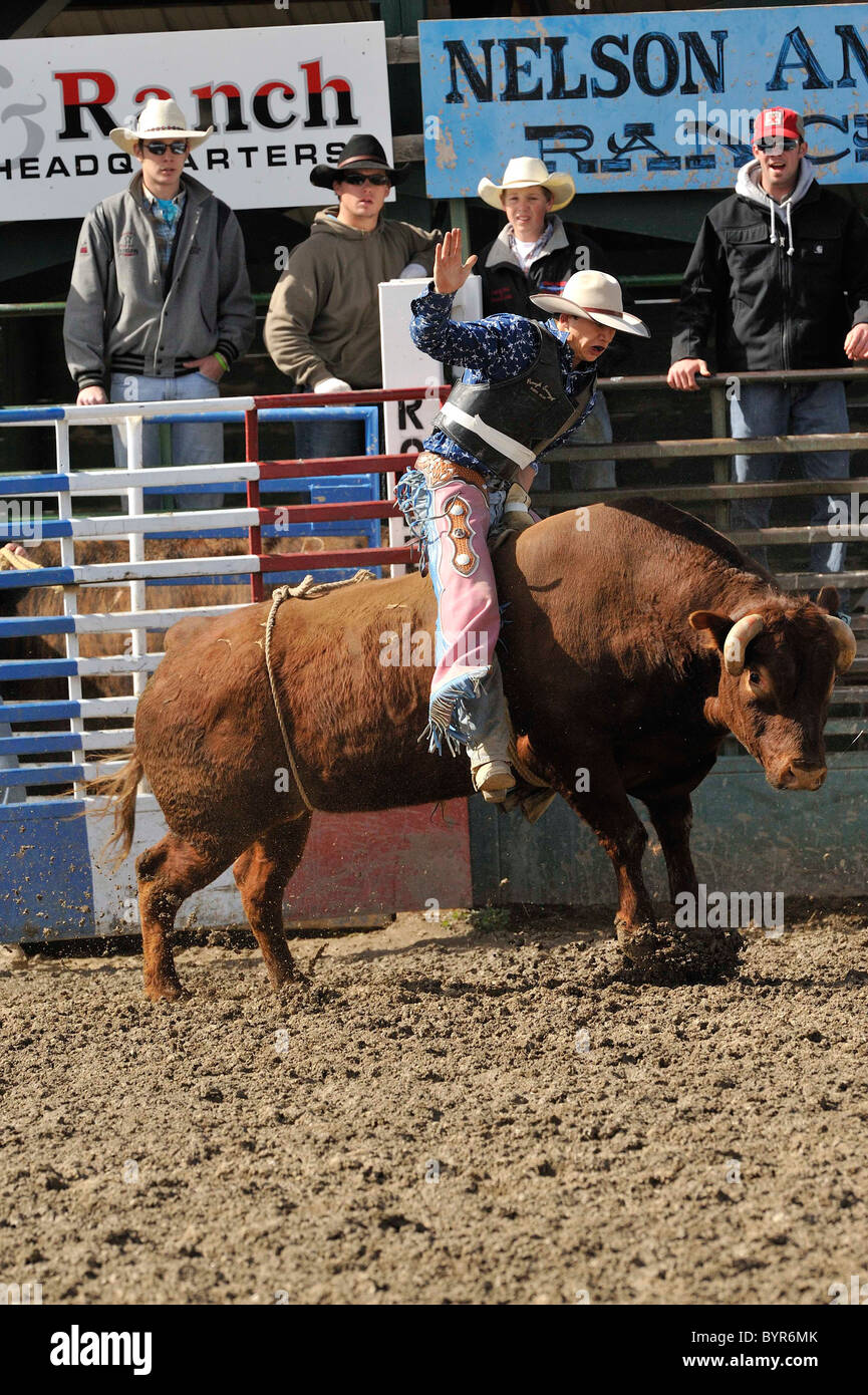 Bull Riding, Rodeo, Salmon, Idaho Stock Photo Alamy