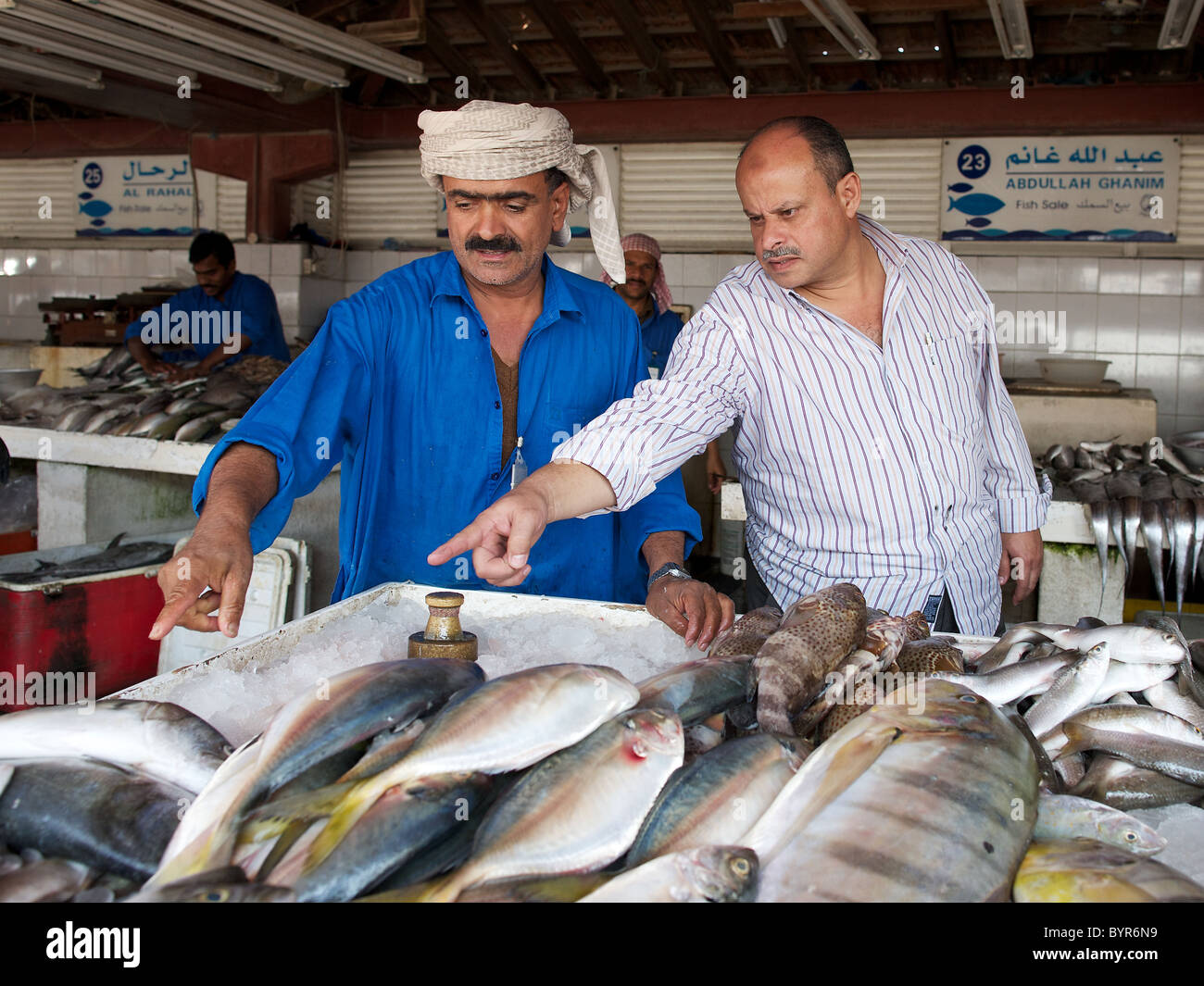 Choosing fresh fish at Sharjah fish market, Dubai, UAE Stock Photo Alamy