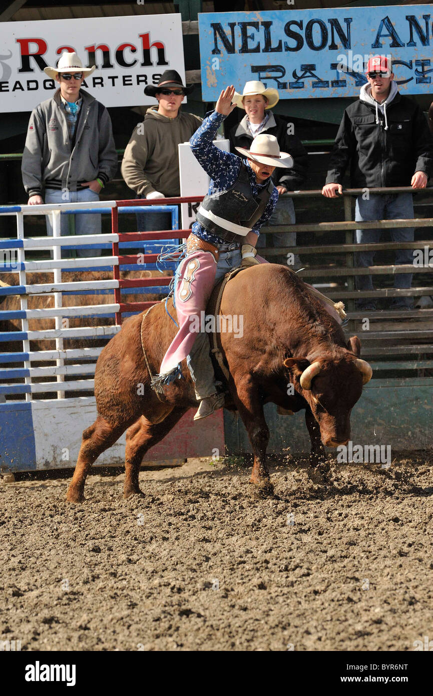 Bull Riding, Rodeo, Salmon, Idaho Stock Photo Alamy