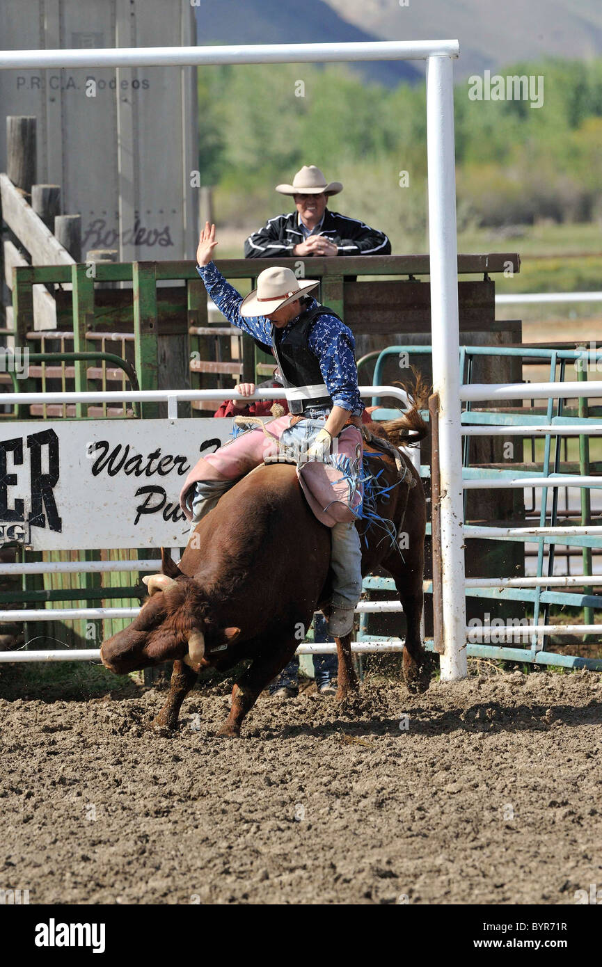 Bull Riding, Rodeo, Salmon, Idaho Stock Photo Alamy