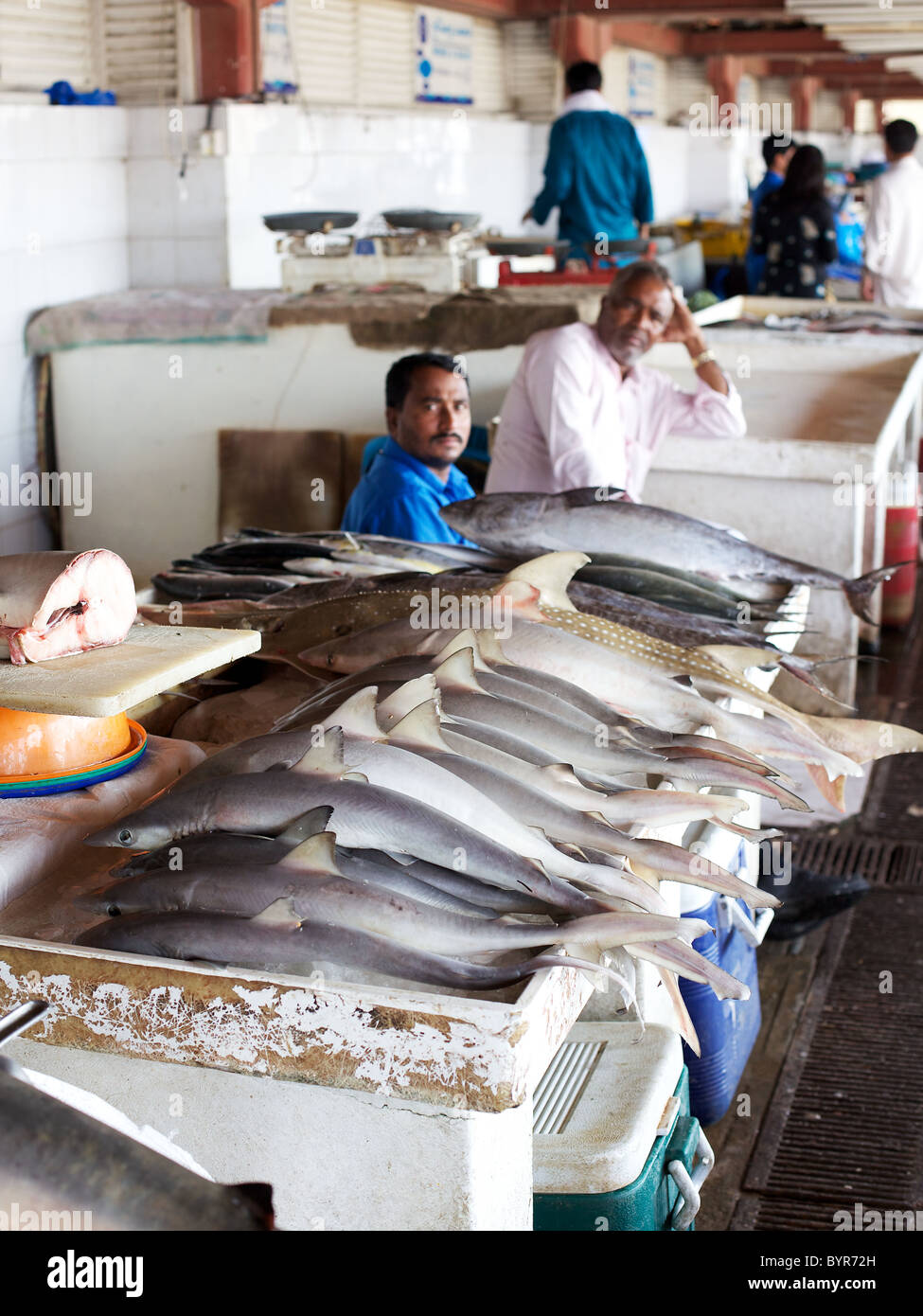 Sharjah fish market, Dubai, UAE Stock Photo Alamy