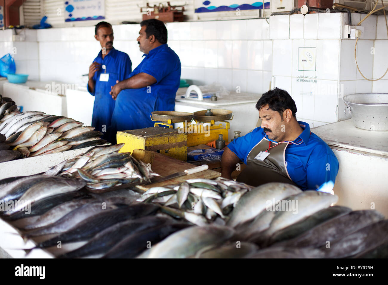 Sharjah fish market, Dubai, UAE Stock Photo Alamy
