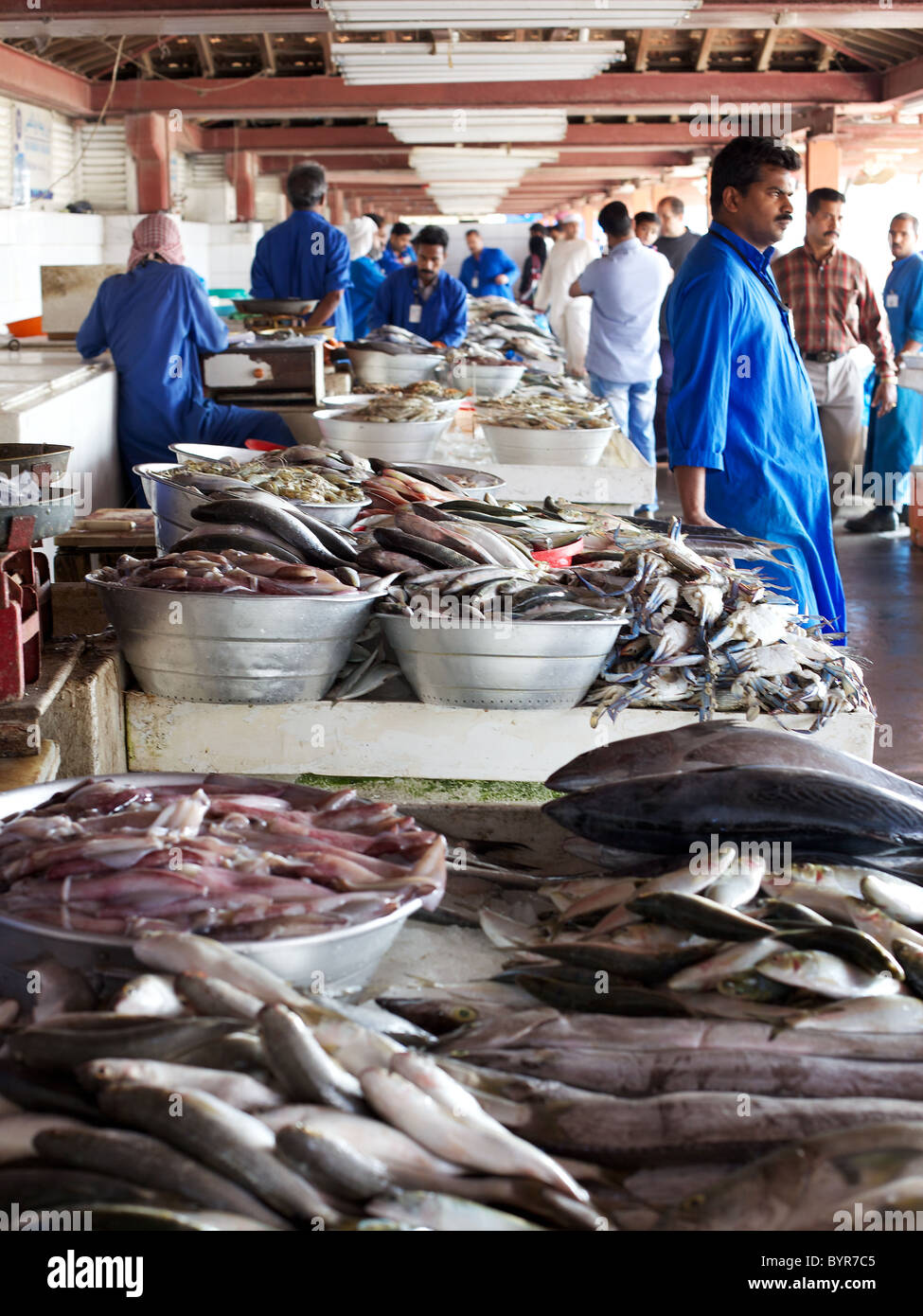 Sharjah fish market, Dubai, UAE Stock Photo Alamy
