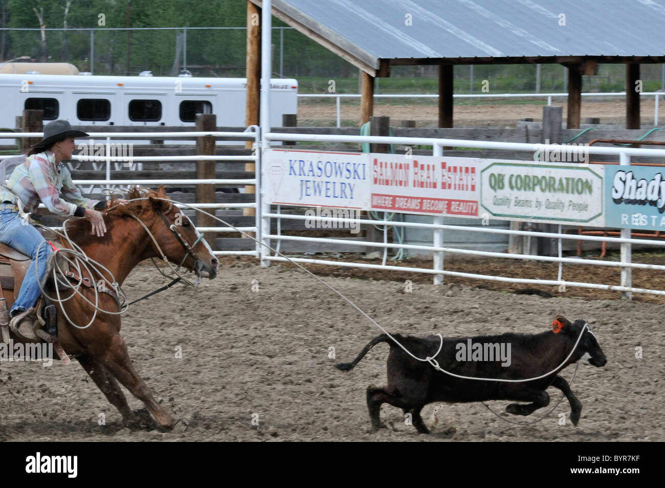 Team Roping, TieDown Roping, Calf Roping Stock Photo Alamy