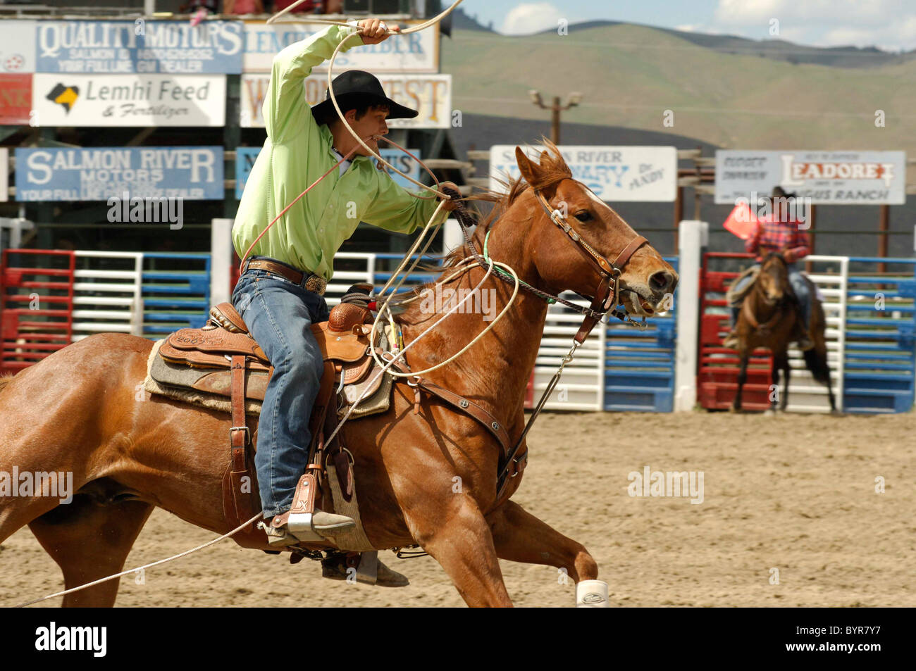 Team Roping, Tie-Down Roping, Calf Roping Stock Photo, Royalty Free ...