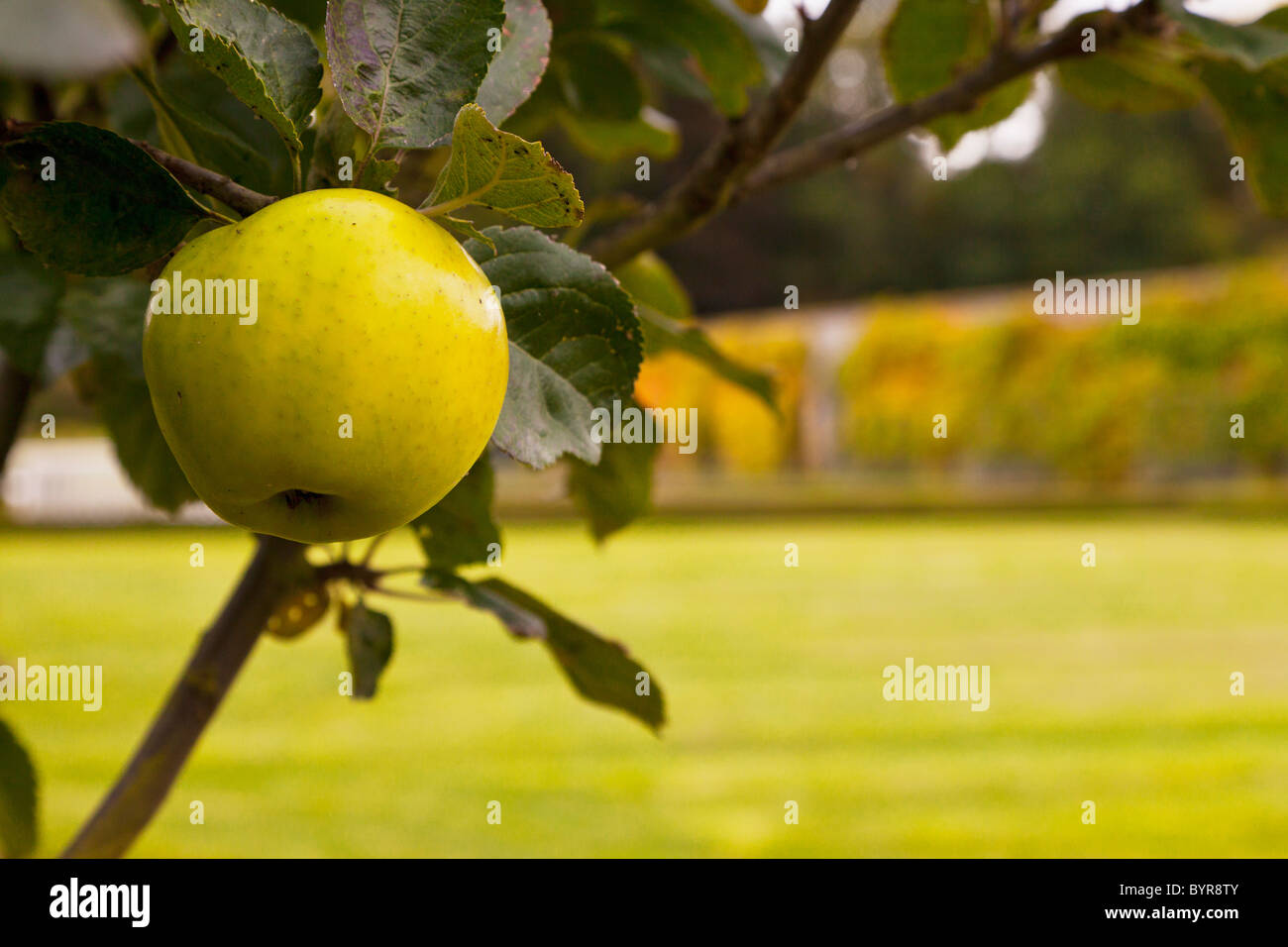 Apple borders hires stock photography and images Alamy