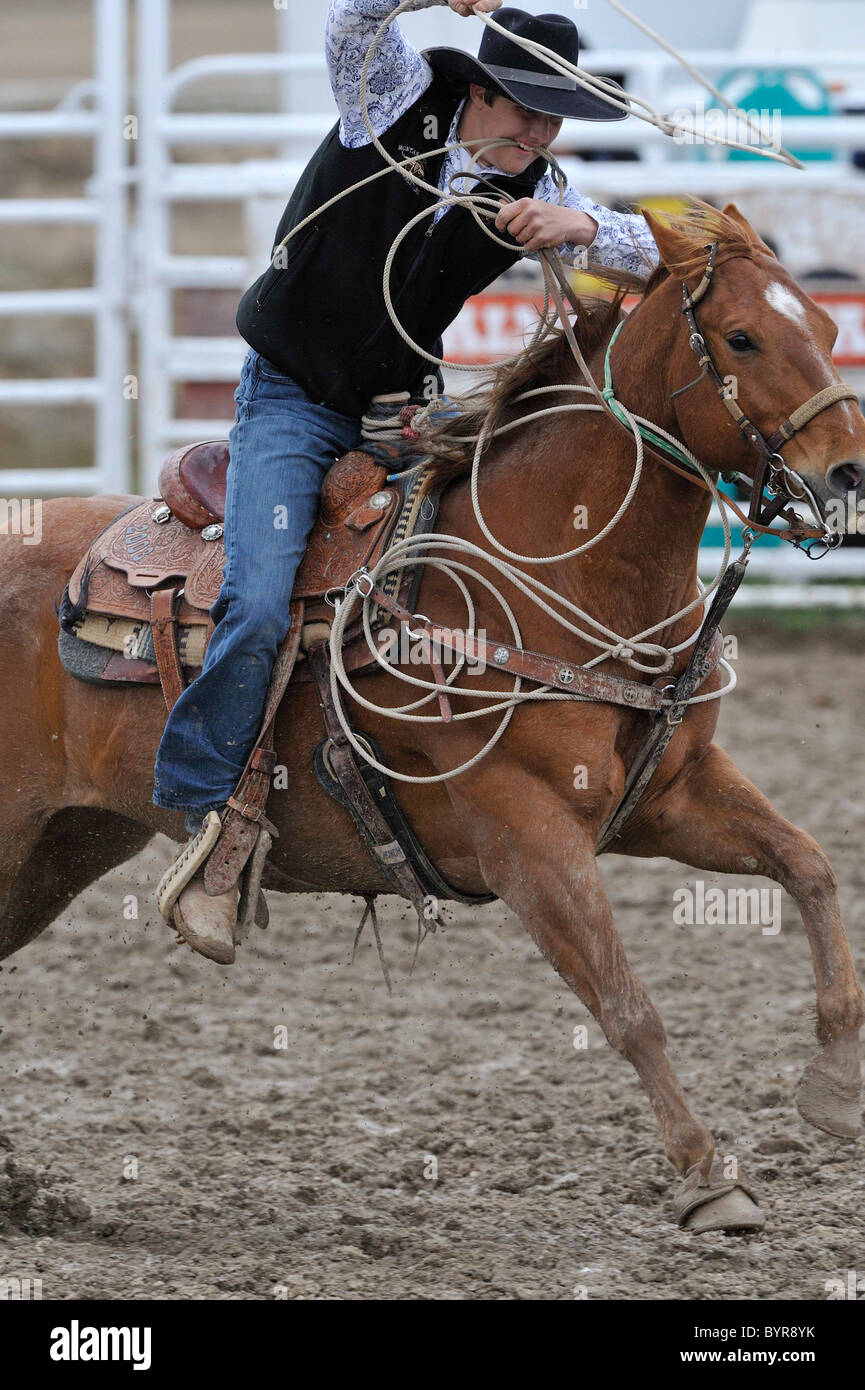 Calf Roping, Tie-Down Roping, Rodeo, Salmon, Idaho Stock Photo - Alamy